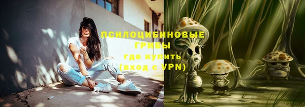 apvp Горнозаводск