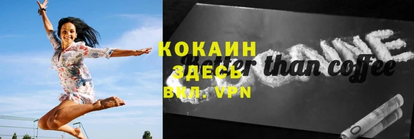 винт Гусь-Хрустальный