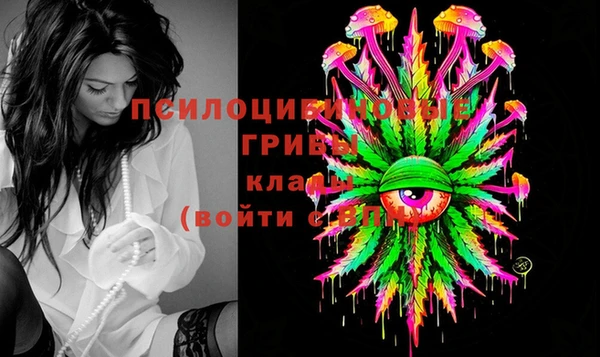 мдпв Гусиноозёрск