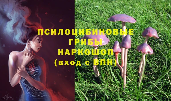 каннабис Гусев