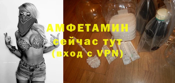 mdpv Вяземский