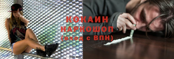 винт Гусь-Хрустальный