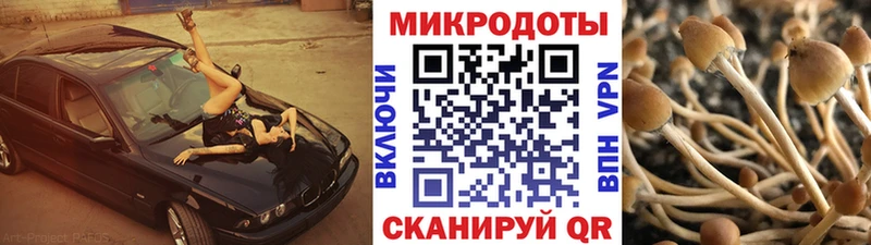 цены   Далматово  ОМГ ОМГ ССЫЛКА  Галлюциногенные грибы Cubensis 